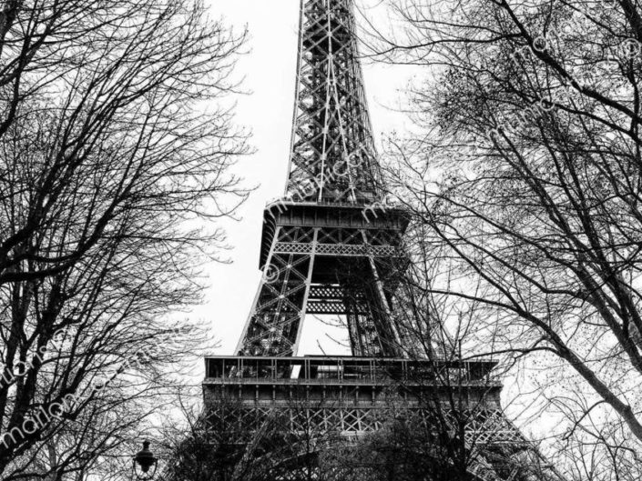 eiffel-tower-landscape-paris-photographer-marlon-losurdo-_13