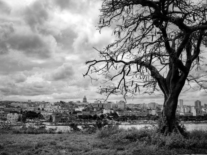 andscape-cuba-photographer-marlon-losurdo-_13