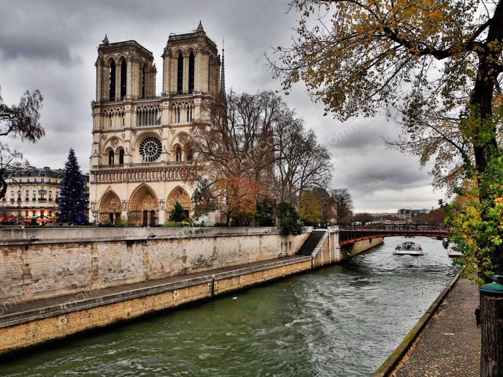 notre-dame-paris-photographer-marlon-losurdo-_12