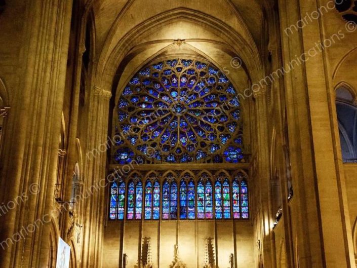 notre-dame-paris-photographer-marlon-losurdo-_6